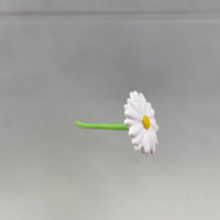 2001 -Mikasa's Final Season Ver. Daisy
