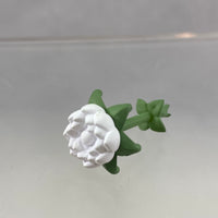 1625 -Somali's Yozame Flower