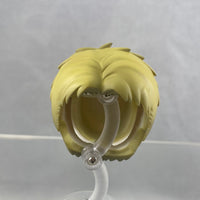 1893 -Reiner Braun's Hair