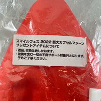 Bean Bag Chair (Relax Bead Cushion) in Red (EXCLUSIVE COLOR)