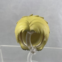 1893 -Reiner Braun's Hair