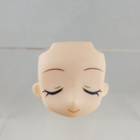 Chibi-Arts -Hanasaki Tsubomi's Twintails, Eyeglasses & Faces