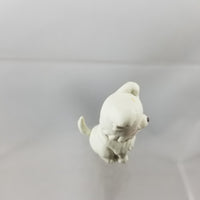 179 -Maru-chan, Shota Kazehaya's Dog