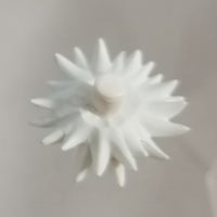 731 *-Yoshiko's Hair Bun