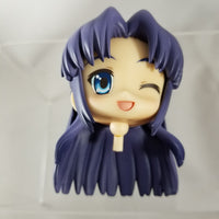 44 -Ryoko's Hair & Faceplates