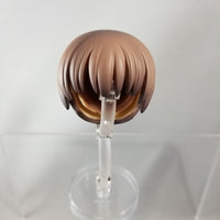 704 -Megumi Kato's Hair (Ponytail & Long Down Hair)(H-2)