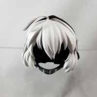 494 -Battleship Re-Class Hair & Hood