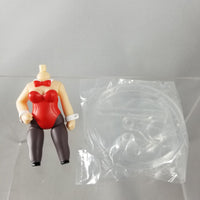 14 -Asahina's Bunny Girl Outfit with Stand