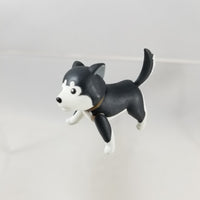 906 -Riza Hawkeye's Husky, Black Hayate