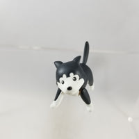 906 -Riza Hawkeye's Husky, Black Hayate