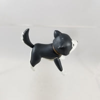 906 -Riza Hawkeye's Husky, Black Hayate