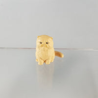 1034 -Hermione's Cat, Crookshanks
