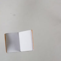 724 *-Kakashi's "Makeout Paradise" Tan Book (Option 2)