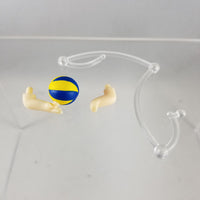 806 -Lev's Volleyball with Arms & Support Piece