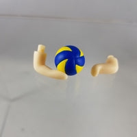 806 -Lev's Volleyball with Arms (no support piece)