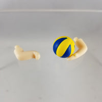 806 -Lev's Volleyball with Arms (no support piece)