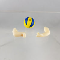 806 -Lev's Volleyball with Arms (no support piece)