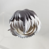 946 -Haise's Two-Tone Hair