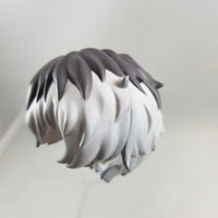 946 -Haise's Two-Tone Hair