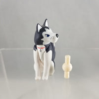 126 -Kudryavka's Husky