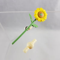 1215 -Qiluo Zhou's Sunflower