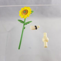 1215 -Qiluo Zhou's Sunflower