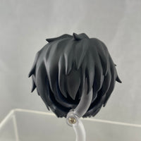 1646 -Steven A Starphase's Hair