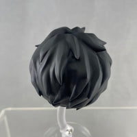 1646 -Steven A Starphase's Hair