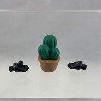 1832 -Jack Howl's Cactus