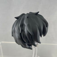 1646 -Steven A Starphase's Hair