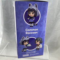 911 -Common Raccoon Complete in Box