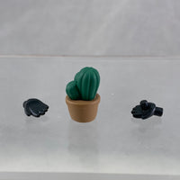 1832 -Jack Howl's Cactus