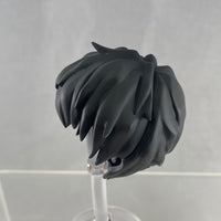 1646 -Steven A Starphase's Hair