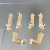 14 *-Haruhi, Yuki, & Asahina's Bunny Girl Arms
