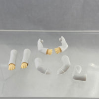 982 *-Okabe's Lab Coat Arms