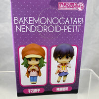 Petite -Sengoku Nadeko of Bakemonogatari