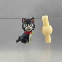 1198 -Hodaka's Cat, Ame