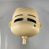21 -Bicycling Rider Faceplates