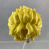 1624 -Dio Brando's Hair