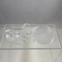 229 -Lynette Shameful Vers.' Stand