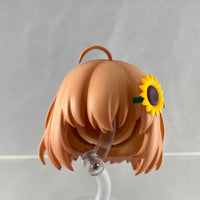 1586 -Himawari's Hair