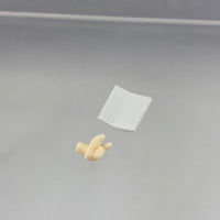 1761 -Phoenix Wright's Court Document