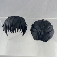 1646 -Steven A Starphase's Hair
