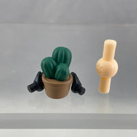 1832 -Jack Howl's Cactus