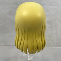2501 -Guideau's Hair