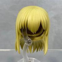 2501 -Guideau's Hair