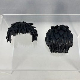 2500 -Ippo's Hair