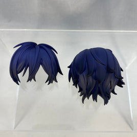 2473 -Haruomi Shingu's Hair