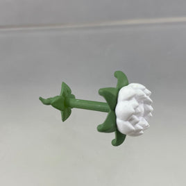 1625 -Somali's Yozame Flower