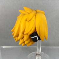 2558 -Denki's Hair